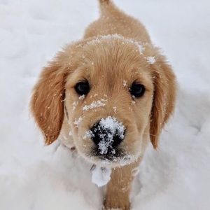 Meet your Posher, Marlen